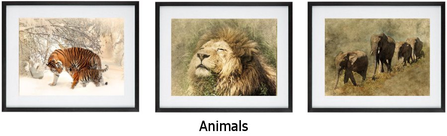 Animal Framed Art Prints